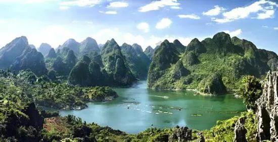 拯救落难小鸟